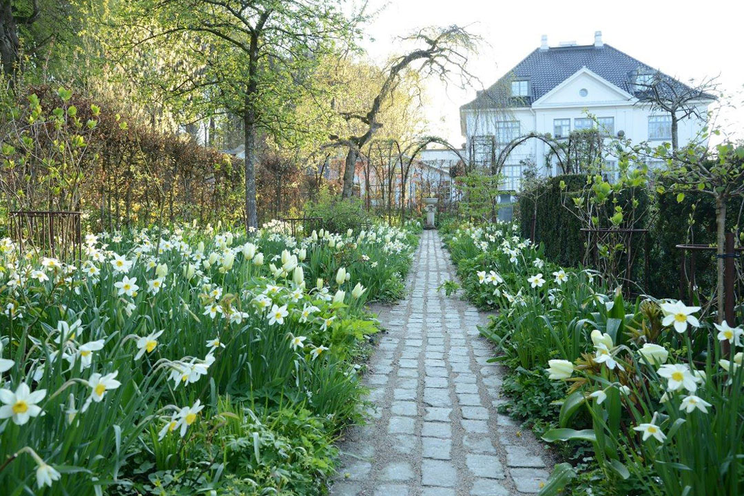 blog-det-hvide-bed-header blog-det-hvide-bed-header