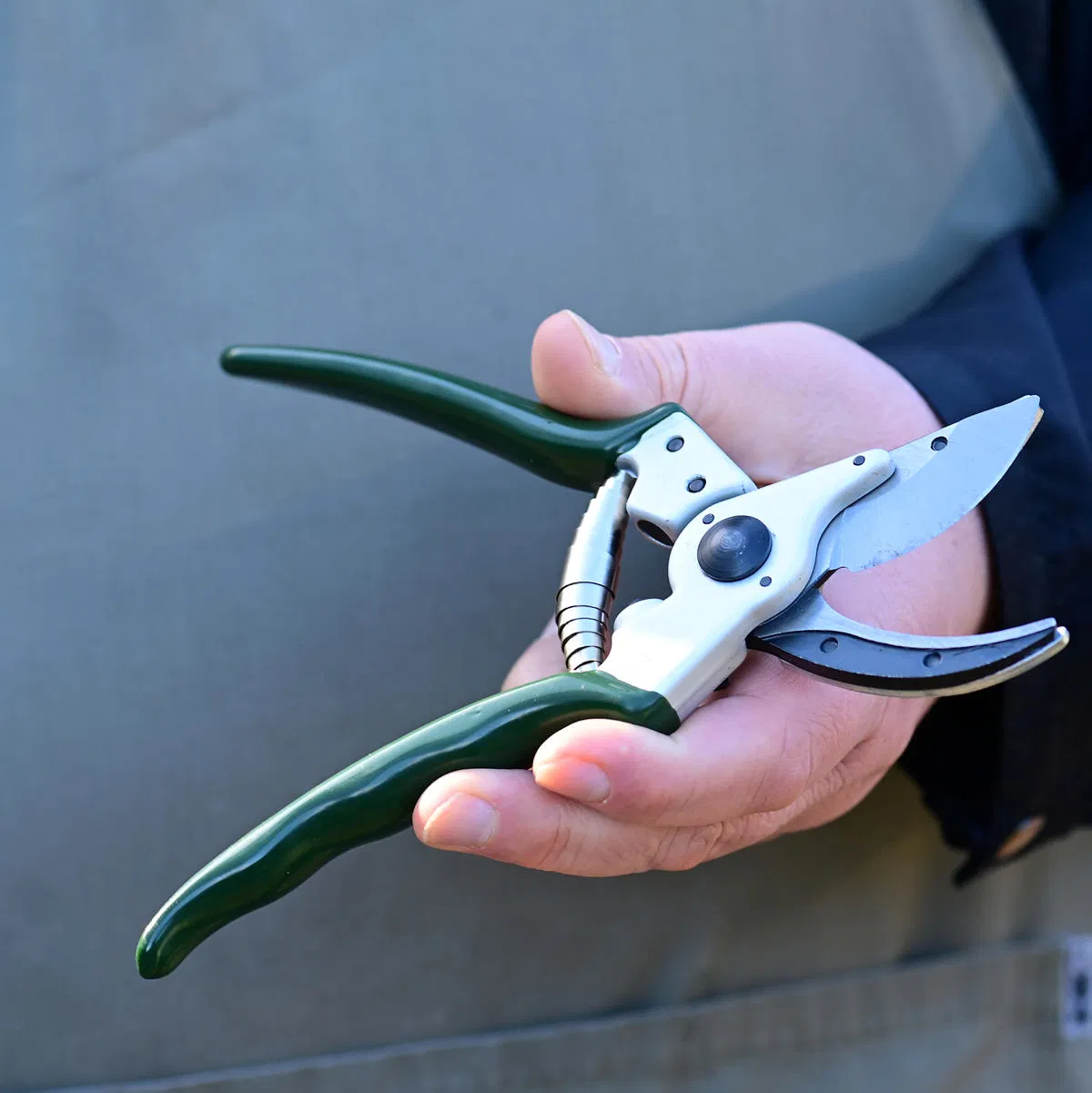 Pruning shears