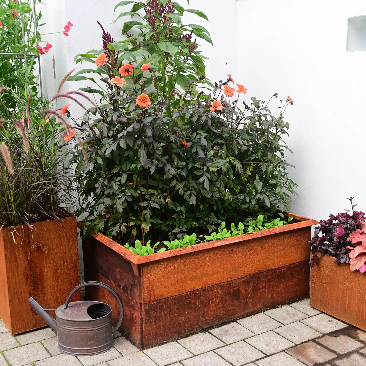 Raised garden beds