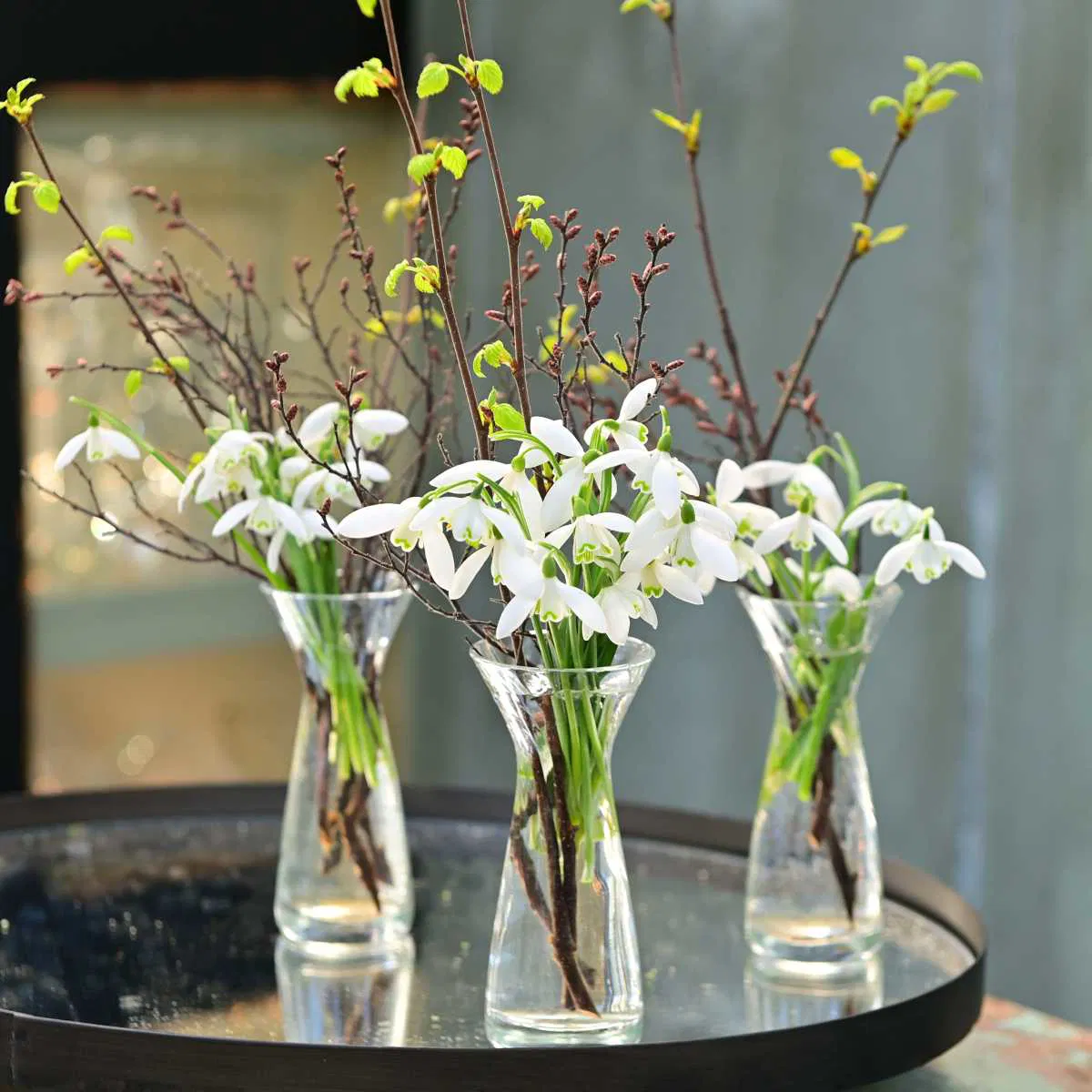 Hyacinth and crocus vases