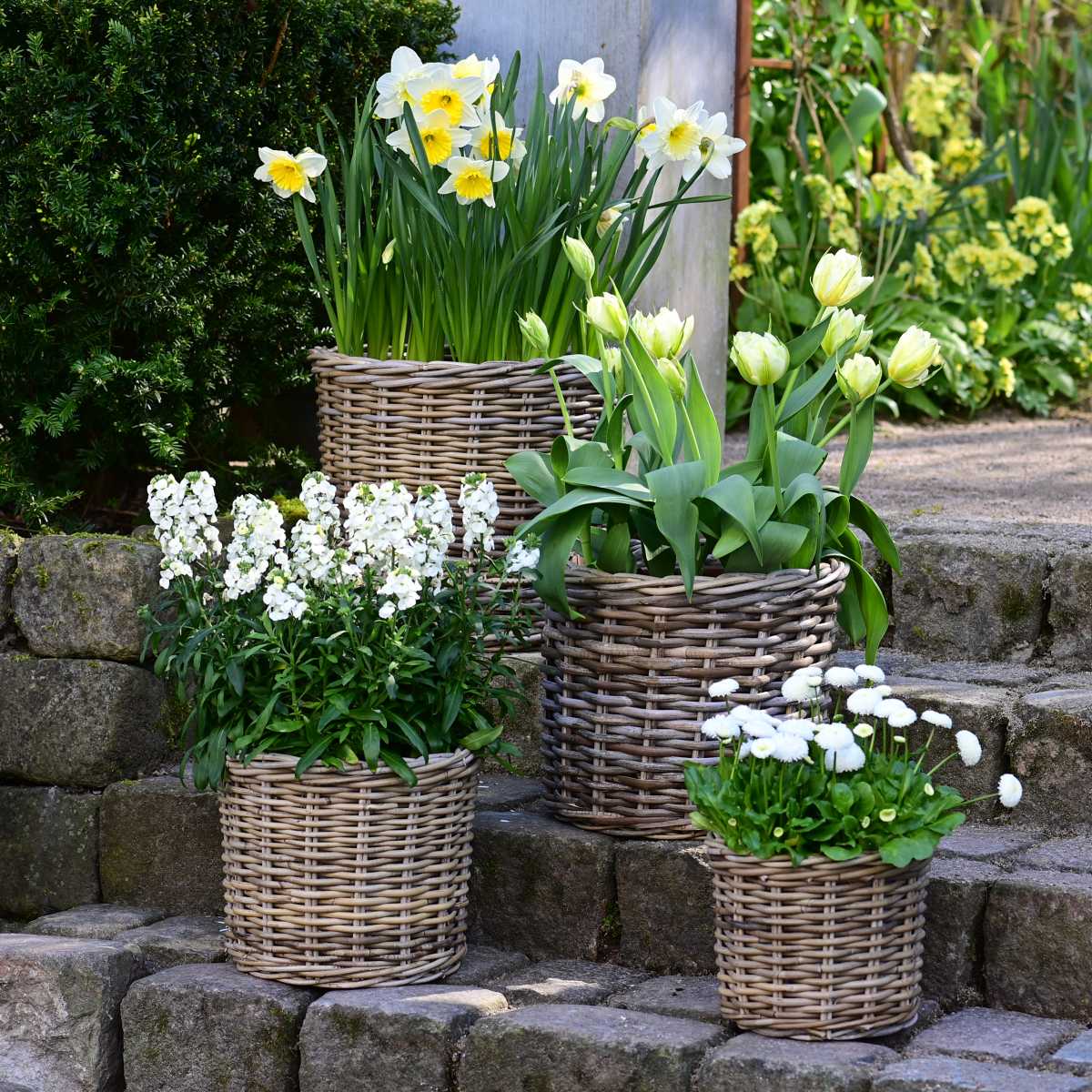 Baskets