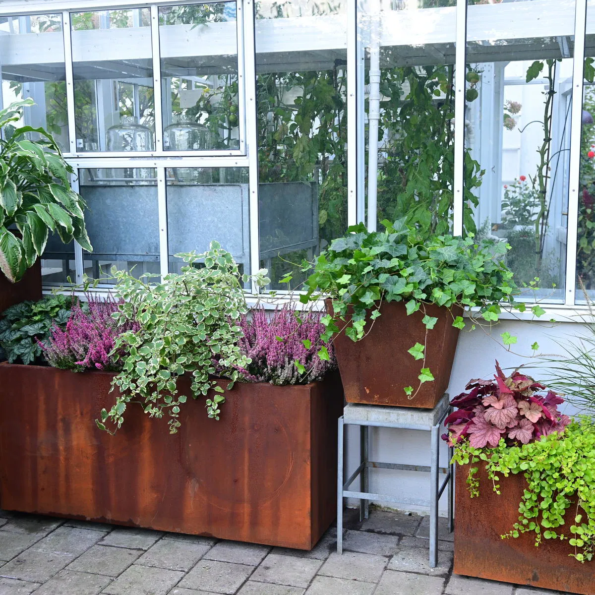 Plant boxes