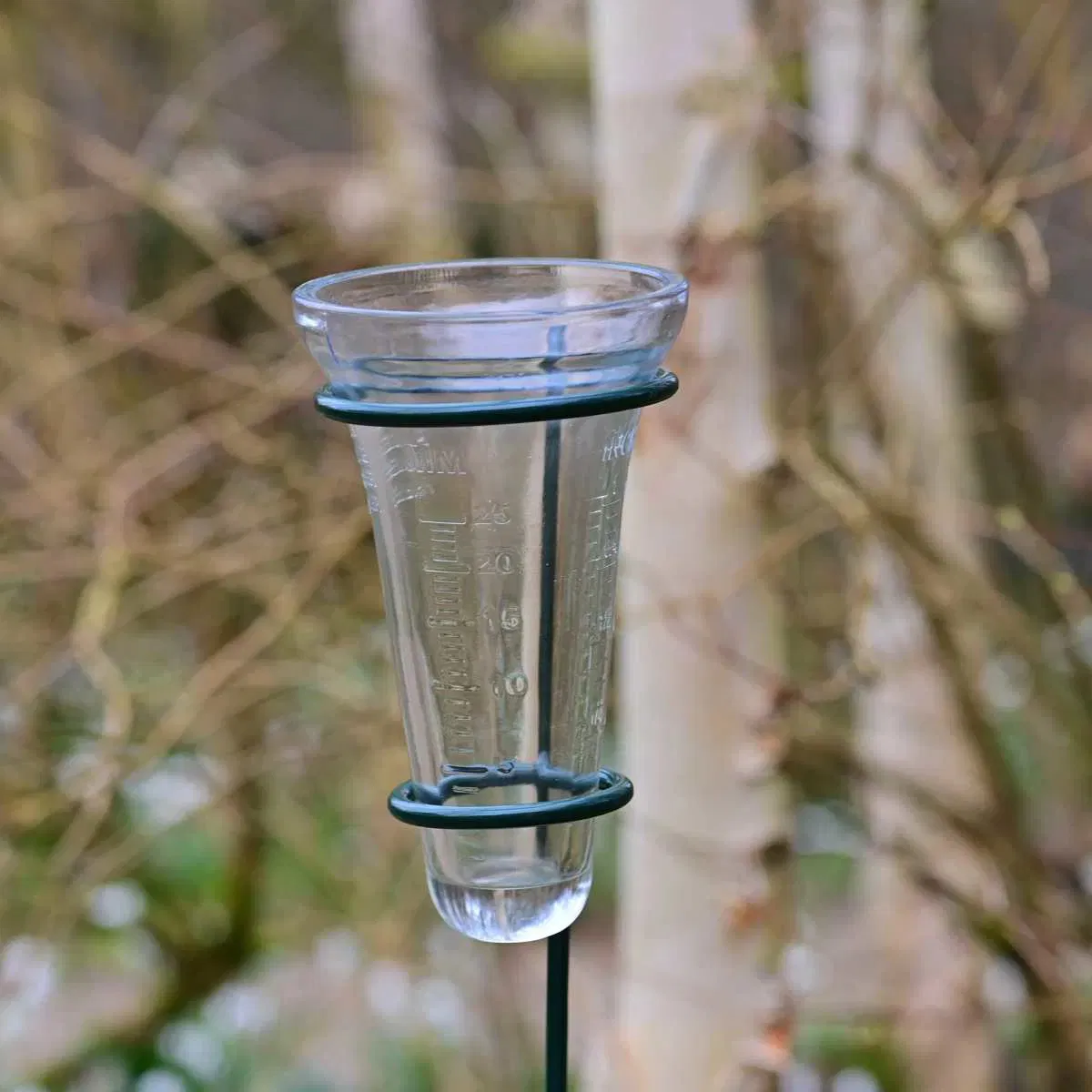 Rain gauge