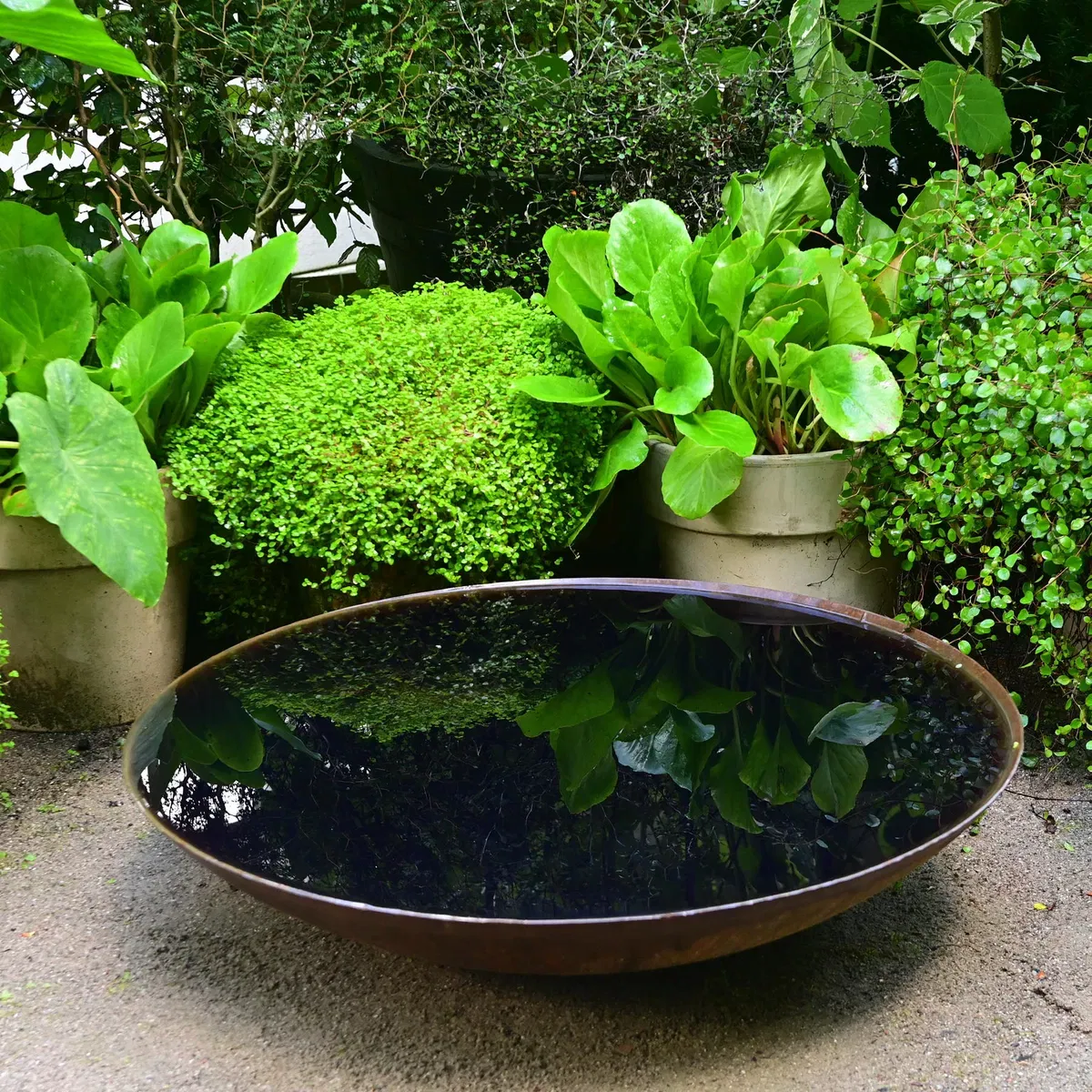 Water mirrors